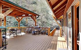 Black Bear Lodge Cosby Tn